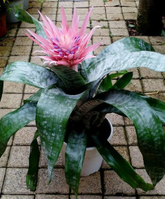 Προτάσεις Δώρων