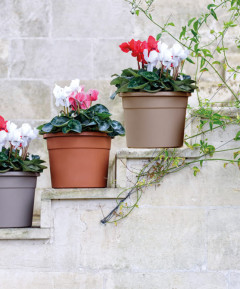 Γλάστρες Ζαρντινιέρες