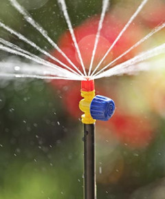 Αυτόματο Πότισμα